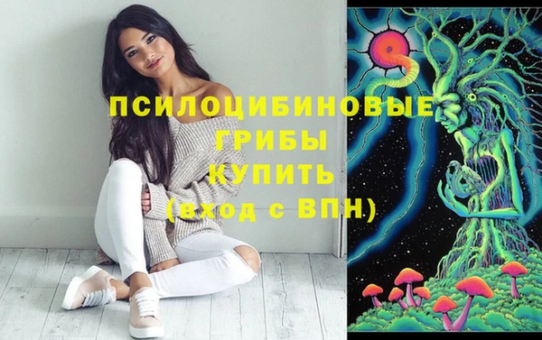 метадон Алексеевка