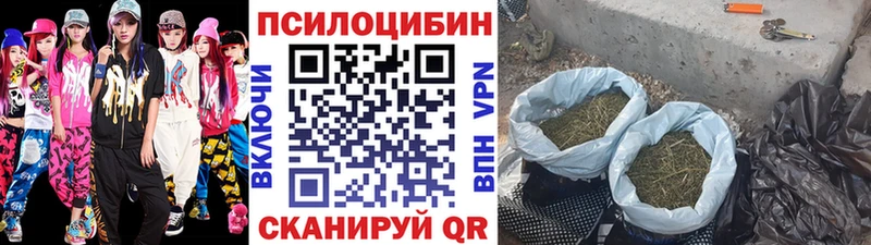 Псилоцибиновые грибы мухоморы  shop телеграм  Жирновск 